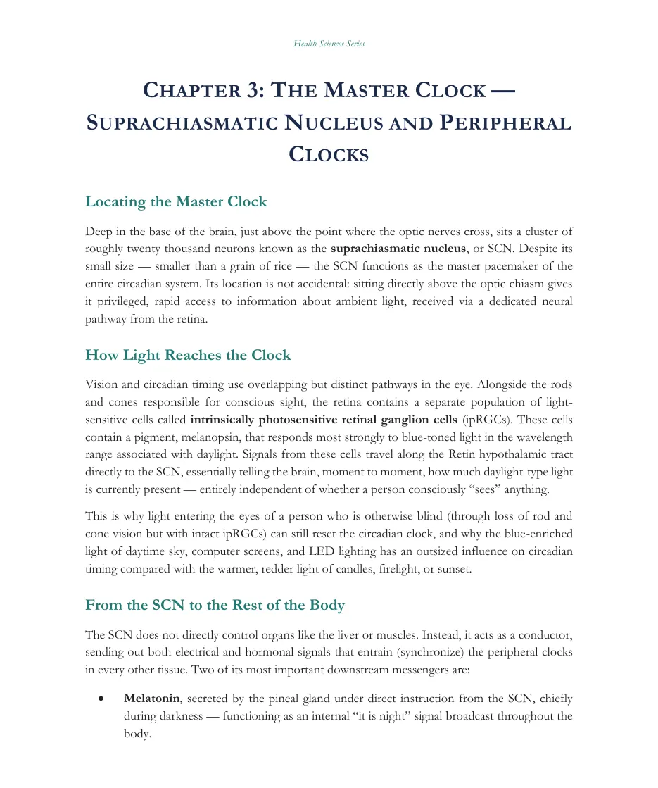 Chapter 3 page on the suprachiasmatic nucleus and peripheral clocks